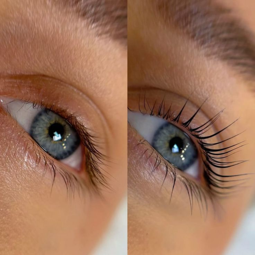 LASH SERVICES CHESHIRE CT